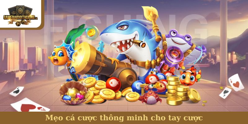 Mẹo cá cược thông minh cho tay cược